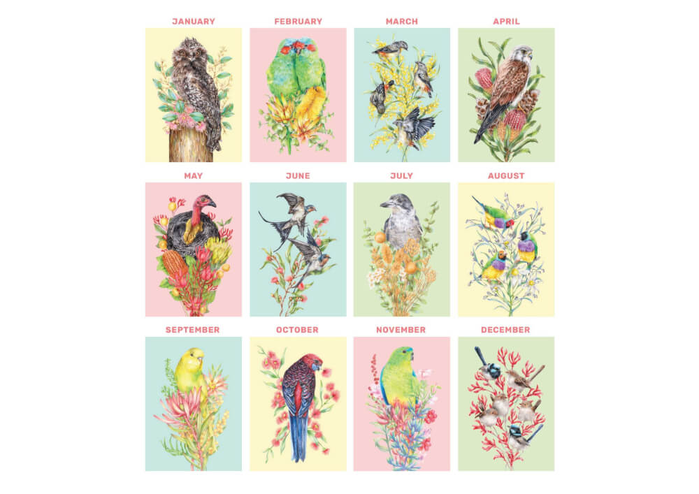 Australian Bird Bouquets 2025 Calendar by Kayla Reay