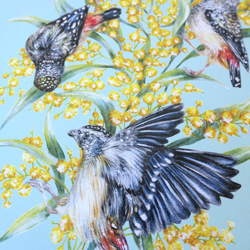 Australian Bird Bouquets 2025 Calendar by Kayla Reay