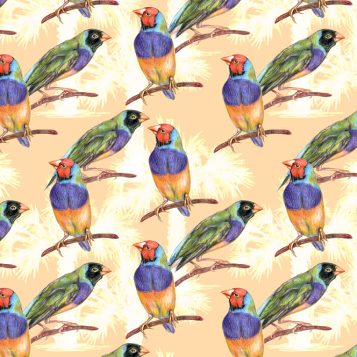 Aussie Allovers Gouldian Finch Beige Fabric