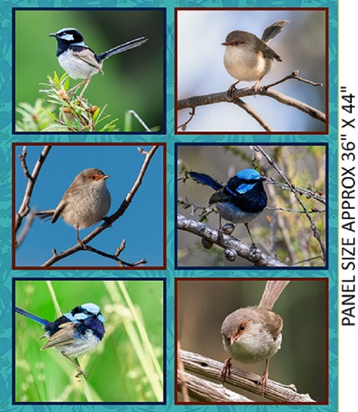 Charming Wrens Panel