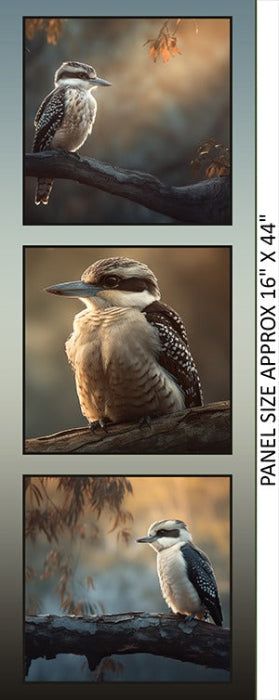 - Echoes of Kookaburra Panel 16" Kookaburra in
the Gum Tree