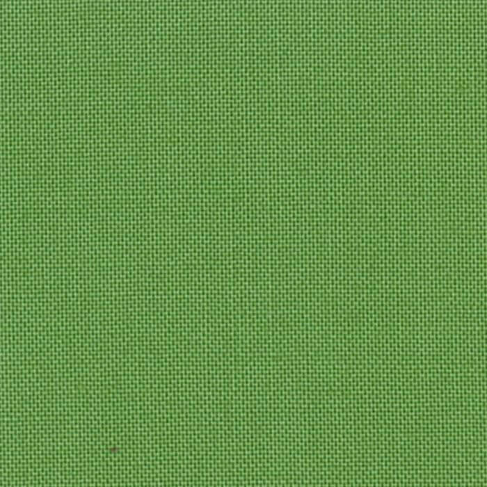 Devonstone Collection Solid- Crocodile Green