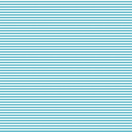 Fundamentals - 1/8" Stripe - Barrier Blue