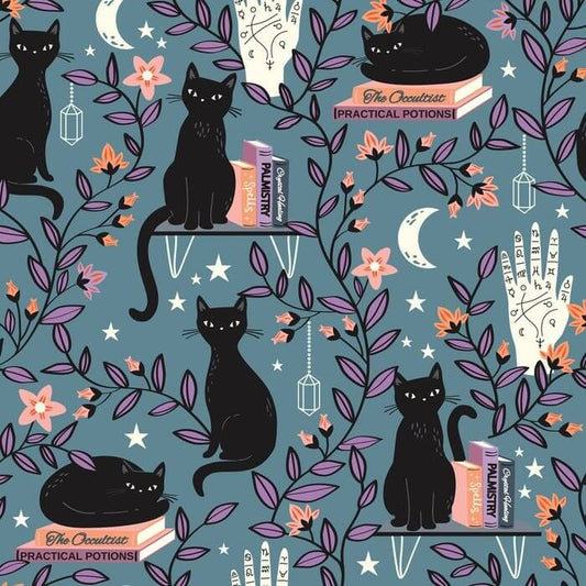 Spellbound Black Cats and Palmistry