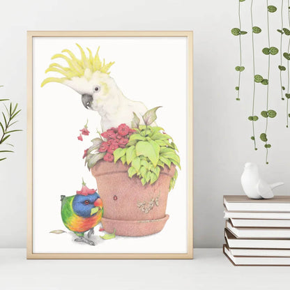 Cockatoo & Lorikeet Unframed Art Print